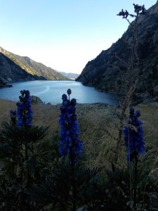 «embassament de Cavallers (Lleida)»