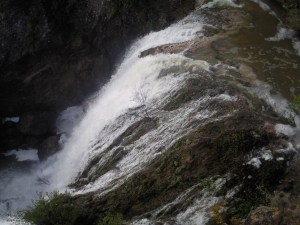 premo, elecció (alt camp)