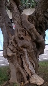 surrealismo sobre madera de olivos (4)