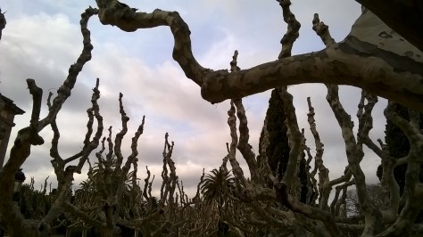 més fort que formigó i maons