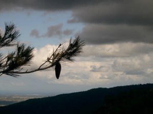 como llave y zurrón