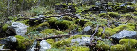 sempre una A, com...