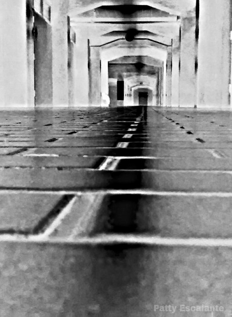 «Autora: Patty Escalante»