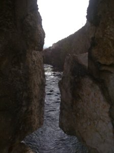 dintre de la natura (2)